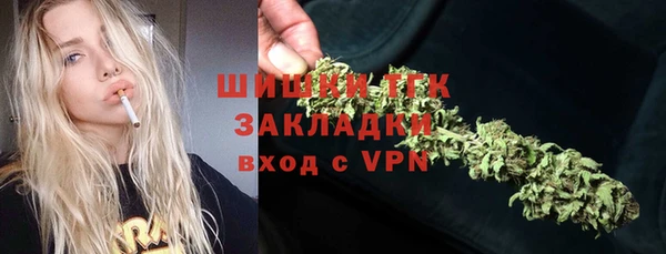 индика Абдулино