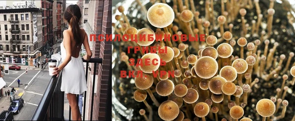 гидропоника Абинск