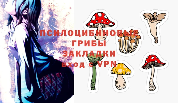 индика Абдулино